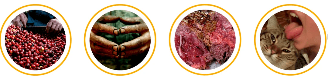 How the parasites enter the body