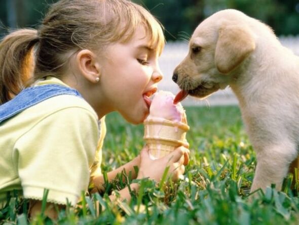 Pets through pets