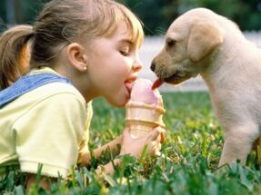 girl eats dog ice cream and gets infected with parasites