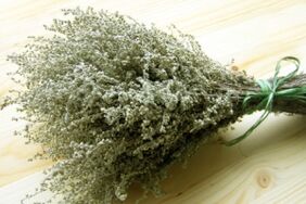 wormwood for the removal of parasites